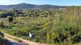 Land for sale in Fundão, Portugal — €55,000
