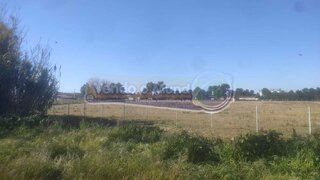 Land for sale in Salvaterra de Magos, Portugal — €65,000