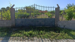 Terreno de 6000 m² em Castelo Branco