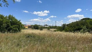 Terreno de 31 192 m² em Santarém