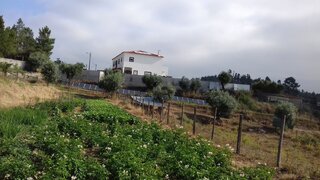Land for sale in Vila Nova da Barquinha, Portugal — €300,000