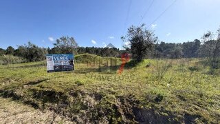 Land for sale in Chamusca, Portugal — €50,000