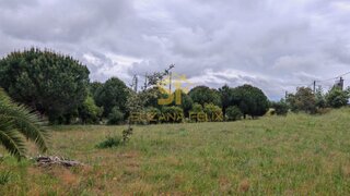 Terreno de 2600 m² em Castelo Branco