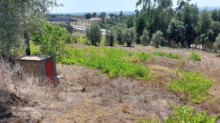 Land for sale in Tomar, Portugal — €30,000