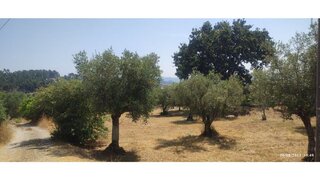 Land for sale in Ourém, Portugal — €29,000