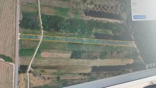 Terreno em Bombarral