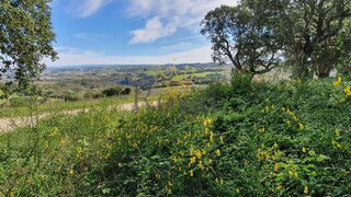 Land for sale in Óbidos, Portugal — €55,000
