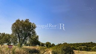 Land for sale in Idanha-a-Nova, Portugal — €10,500