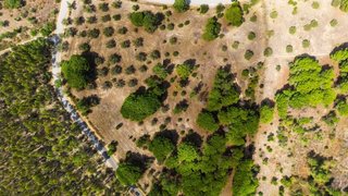 Land for sale in Torres Novas, Portugal — €73,450