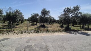 Land for sale in Idanha-a-Nova, Portugal — €17,500