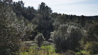 Land for sale in Abrantes, Portugal — €30,000