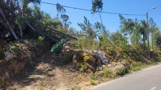 Terreno em Tomar