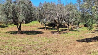 Land for sale in Pedrógão Grande, Portugal — €65,000