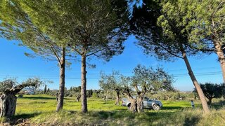 Land for sale in Torres Novas, Portugal — €59,500