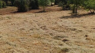 Terreno de 20 000 m² em Santarém