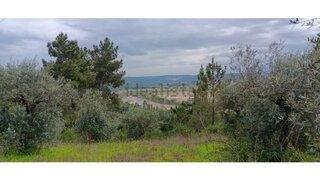 Land for sale in Mação, Portugal — €55,000