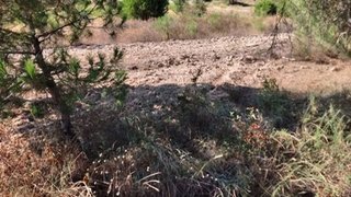 Land for sale in Coruche, Portugal — €160,000