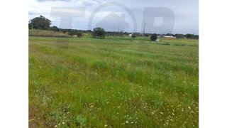 Terreno em Benavente