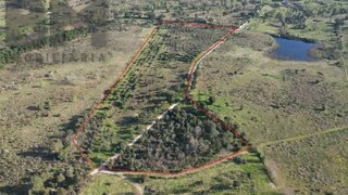 Land for sale in Penamacor, Portugal — €70,000