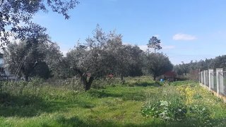 Terreno para venda em Ourém, Portugal — 22 500 €