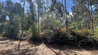 Land for sale in Ourém, Portugal — €18,000