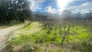 Land for sale in Fundão, Portugal — €21,000