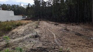 Terreno de 6880 m² em Leiria