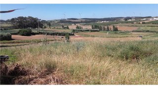 Land for sale in Bombarral, Portugal — €35,000