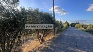 Terreno em Cartaxo