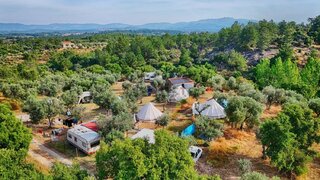 Terreno de 3500 m² em Castelo Branco