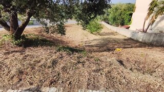 Land for sale in Alvaiázere, Portugal — €13,000