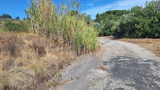 Land for sale in Cartaxo, Portugal — €35,000