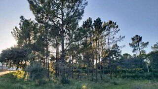 Land for sale in Alcanena, Portugal — €90,000