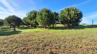 Land for sale in Alcobaça, Portugal — €97,500
