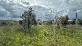 Land for sale in Tomar, Portugal — €200,000