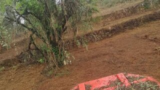 Land for sale in Mação, Portugal — €10,000