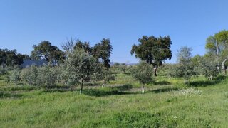 Land for sale in Fundão, Portugal — €128,000
