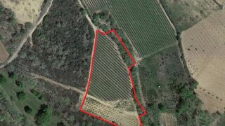 Terreno de 8700 m² em Bragança