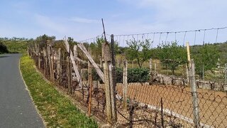 Terreno em Alfândega da Fé