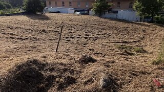 Terreno para venda em Seia, Portugal — 36 000 €