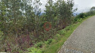 Terreno em Monção