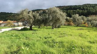 Land for sale in Chaves, Portugal — €70,000