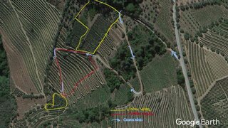 Land for sale in Sabrosa, Portugal — €60,000