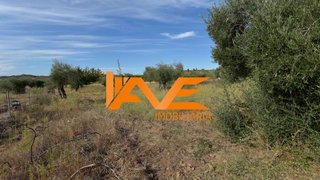 Land for sale in Mirandela, Portugal — €85,000