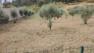 Land for sale in Trancoso, Portugal — €50,000