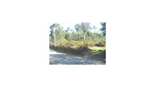 Land for sale in Vila Nova de Cerveira, Portugal — €50,000