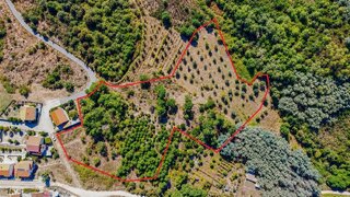 Land for sale in Mangualde, Portugal — €39,500