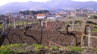 Land for sale in Melgaço, Portugal — €80,000