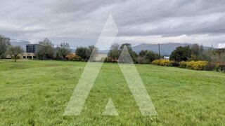 Land for sale in Viana do Castelo, Portugal — €190,000