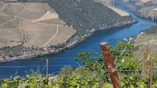 Terreno para venda em Tabuaço, Portugal — 185 000 €